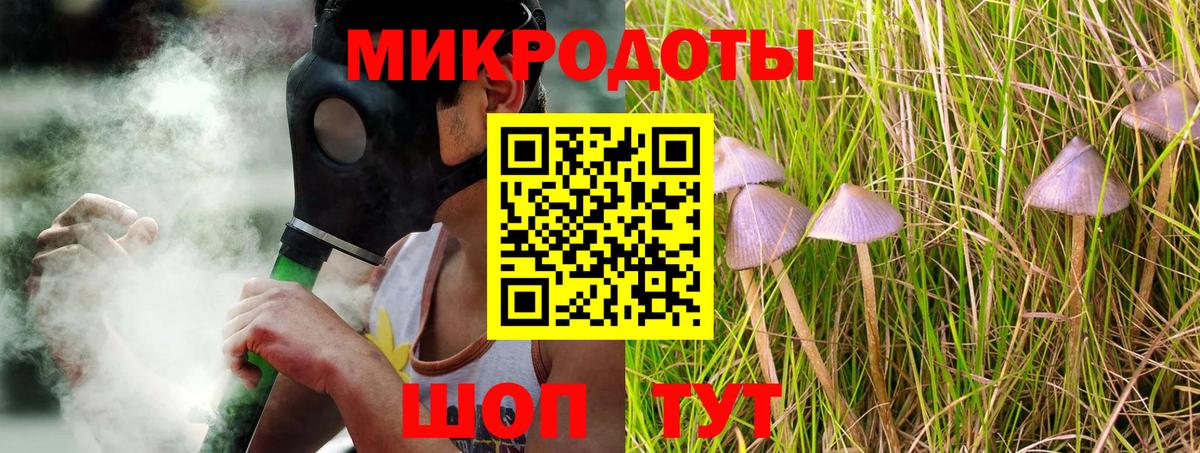 Псилоцибиновые грибы MAGIC MUSHROOMS  сколько стоит  Галлюциногенные грибы MAGIC MUSHROOMS  Новочебоксарск  Вход с VPN 
