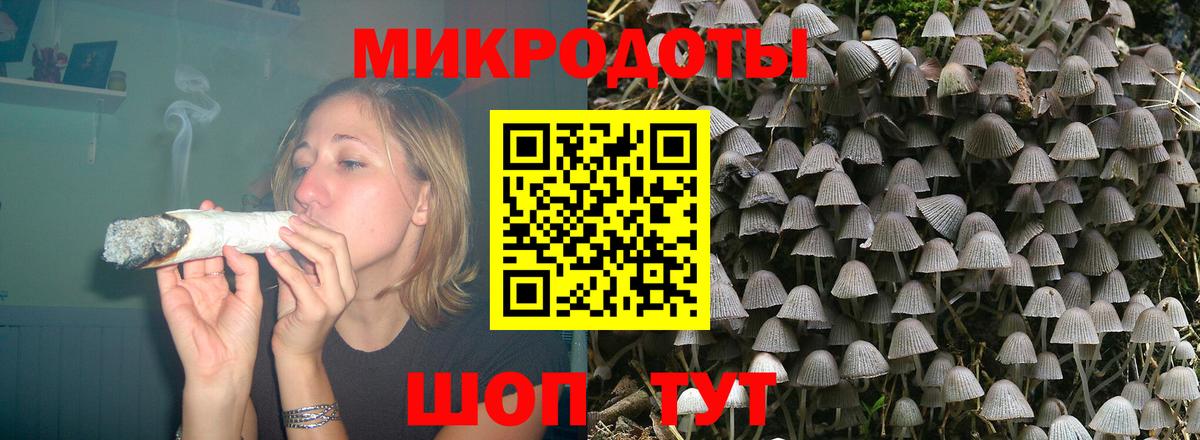 Галлюциногенные грибы мицелий Новочебоксарск